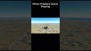 When Freebird Starts Playing 🔥🦅🦅🦅 shorts sub 1kcreator plane crash funny freebird [upl. by Eidas]