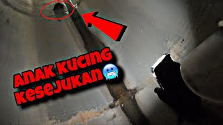 💢DUA HARI KELAPARAN DALAM SEWER😭 CELORENG BOMBA [upl. by Jurgen]