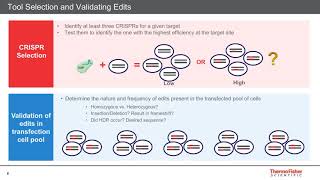 Genome Editing for Functional Genomics and Drug Discovery [upl. by Trev]