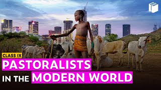 Pastoralists in the Modern World Introduction  Chapter 5  History  Class 9  PuStack [upl. by Eneryc620]