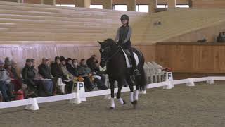 Janet Foy Dressage Clinic 1142023 [upl. by Nesyaj]