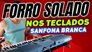 🟢FORRO SOLADO  nos teclados🎹 Org 24 [upl. by Tierney]