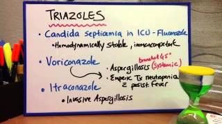 Antifungals  Amphoteracin B Triazoles Echinocandins [upl. by Airres]