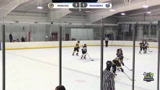 Pawling vs Seahwaks Bantam 101224 [upl. by Dranik]