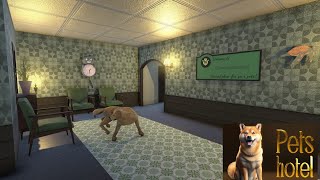 Creating A Relaxing Pet Hotel  Pets Hotel [upl. by Madelene]