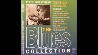 The Blues Collection 82  Peetie Wheatstraw  The Devils Son in law [upl. by Acissey881]