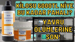 MED TOLLYAMINKOMBI MIX TÜM KÜMESE KÜR UYGULAMASI YAPTIK🤩MUCİZEVİ ÜRÜNLER [upl. by Jacoby]