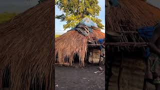 Surma tribe women Omo Valley Ethiopia Ethiopia OmoValley omoadvisor omoriver [upl. by Immat]