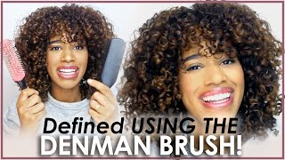 How to Use a Denman Brush  3B 3C Curls [upl. by Atirak806]