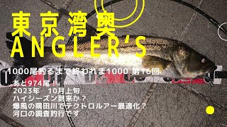 【東京湾奥】秋爆？？隅田川河口テクトロ研究釣行【シーバス釣り】2023 10月上旬 Can We Catch Fish In Tokyo Bay 16 [upl. by Cornall]