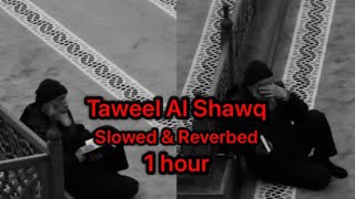 Taweel Al Shawq  1 hour straight  slowed  reverb  muhammad Al Muqit  طویل اشوق  nasheed [upl. by Childers]