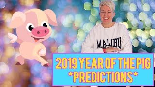 The year of the PIG 2019 Chinese animal horoscope for the year 2019 [upl. by Neggem]