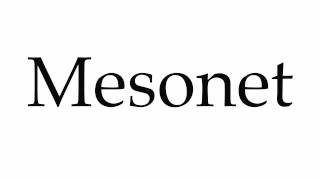 How to Pronounce Mesonet [upl. by Elocen]