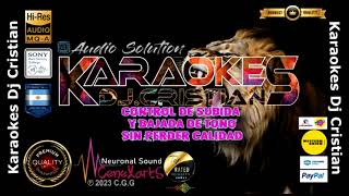 Perra  LOS PALMERAS KARAOKE HQ [upl. by Ulphi119]