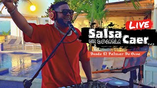 SALSA SIN DEJARLA CAER VOL 3 DESDE EL PALMAR DE OCOA SUN ON THE BAY MIX LIVE DJ JOE CATADOR C15 [upl. by Martinelli]