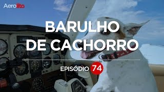 Barulho de SERROTE No Avião EP 74 [upl. by Eimas143]