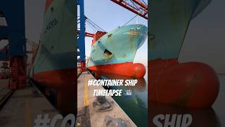 Nexoe maersk time lapse  Maersk Container Ship ⛴️ merchantnavy ship shorts betashorts viral [upl. by Floria277]