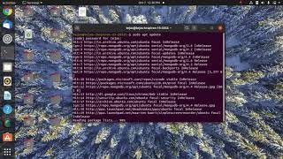 How to install MongoDB on Ubuntu 2004  Linux [upl. by Annahtur]