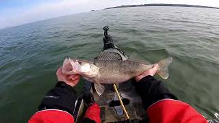 Early Season Erie Walleye from the Kayak [upl. by Yoreel]