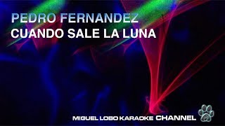 PEDRO FERNANDEZ  CUANDO SALE LA LUNA  Karaoke Miguel Lobo [upl. by Orville]