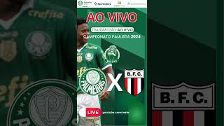 🔴 Transmissão Ao Vivo  Palmeiras x Botafogo  Paulistão  Web Rádio Verdão [upl. by Eillak]