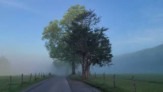 Cades Cove First Day No Car Wednesday of 2024 5 01 24 [upl. by Lenoel985]