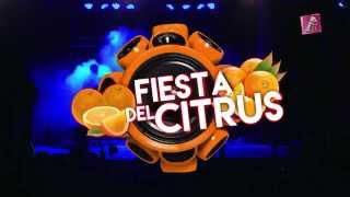 Fiesta Citrus 2015  Viem HD [upl. by Eilak503]