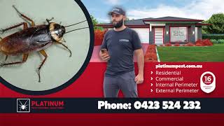 Platinum Pest Control Solutions  Phone 0423 524 232 [upl. by Asyen]