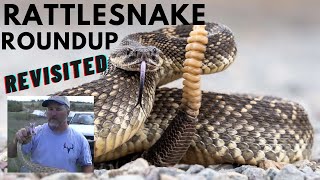 Rattlesnake Roundup Revisited [upl. by Iteerp]