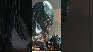 predator predatormovie alienvspredator yautja alien avp predators arnoldschwarzenegger [upl. by Derfla]