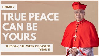 True Peace Can Be Yours  William Cardinal Goh Homily  09 May 2023 [upl. by Llednor221]