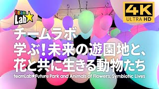 New in Nagoya went to the TeamLab Future Park and Animals Living with Flowers [upl. by Rehposirhc]