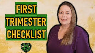 First Trimester Checklist [upl. by Schatz]