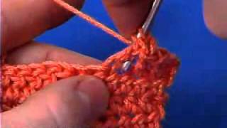 Back Cross Stitch Crochet Stitch Tutorial [upl. by Hadnama]