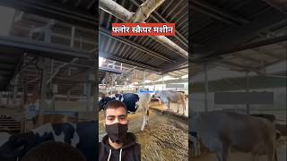 Cow dung cleaning machine 😮😮cow cows cleaning machine trending shorts [upl. by Lucian]