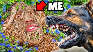 I Used Camouflage to Escape a Police K9 – Will It Work [upl. by Aitekram660]