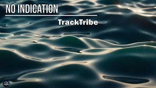 No Indication  TrackTribe Copyright Free [upl. by Roddie193]