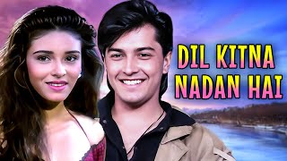 Dil Kitna Nadan Hai 1997  Full Movie  Superhit Bollywood Movie  Raja Bherwani Raageshwari [upl. by Mariko621]