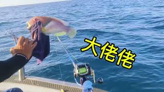 船海釣坐日旭號淺頭敲底歡樂搞笑中全船爆桶fishing 船釣り [upl. by Waters]