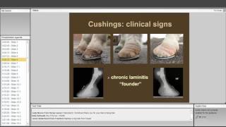 Equine Cushings Disease Challenges of Diagnosis and Treatment [upl. by Gall583]