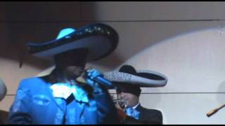 Mariachis Bogotá  Mariachi Vargas de Bogota [upl. by Kolb]