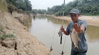 BANYAK STRIKE  Mancing ikan kelabau di spot ini rasanya gak mau pulang [upl. by Elehcar]