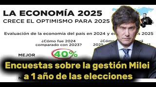 Impactante Así evalúan las encuestas la gestión de Milei a un año de las elecciones [upl. by Mendie]