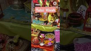 Tulsi ji ka श्रृंगार ytshortsshorts jubinnautiyalnewreelminivloghindufestival tulsivivah [upl. by Knighton]