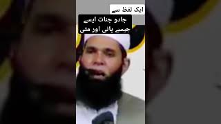 Jinnat aisy bhagyn jesy tofan bayan ubariyoutubechannel islamicprayer ubqari [upl. by Otsuj407]