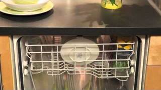 GE Dishwasher Information Videom4v [upl. by Eylk]