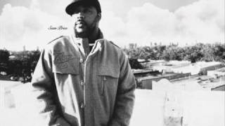 SEAN PRICE  Mega Sean [upl. by Persons]