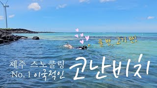 📍제주도 스노쿨링 🌊코난비치  주차 샤워 화장실 물품대여 가능✨️ [upl. by Darrick18]