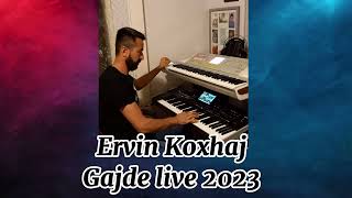 Gajde live 2023 [upl. by Aynnek564]