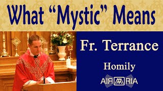 FS 88 End Game Part 2  Aug 13  Homily  Fr Terrance [upl. by Assiar]